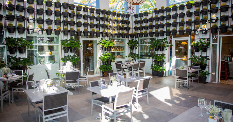 Restaurant exterior, tables and chairs, lots of plants