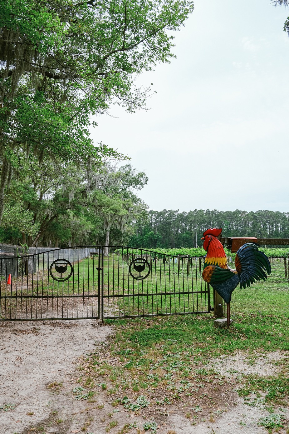 Weekend Wine-Down event photo