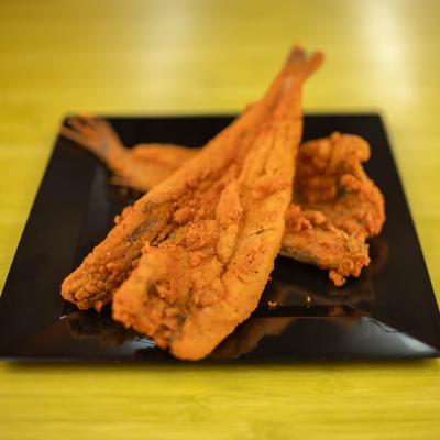 Two pieces of fried lake trout served on the plate.