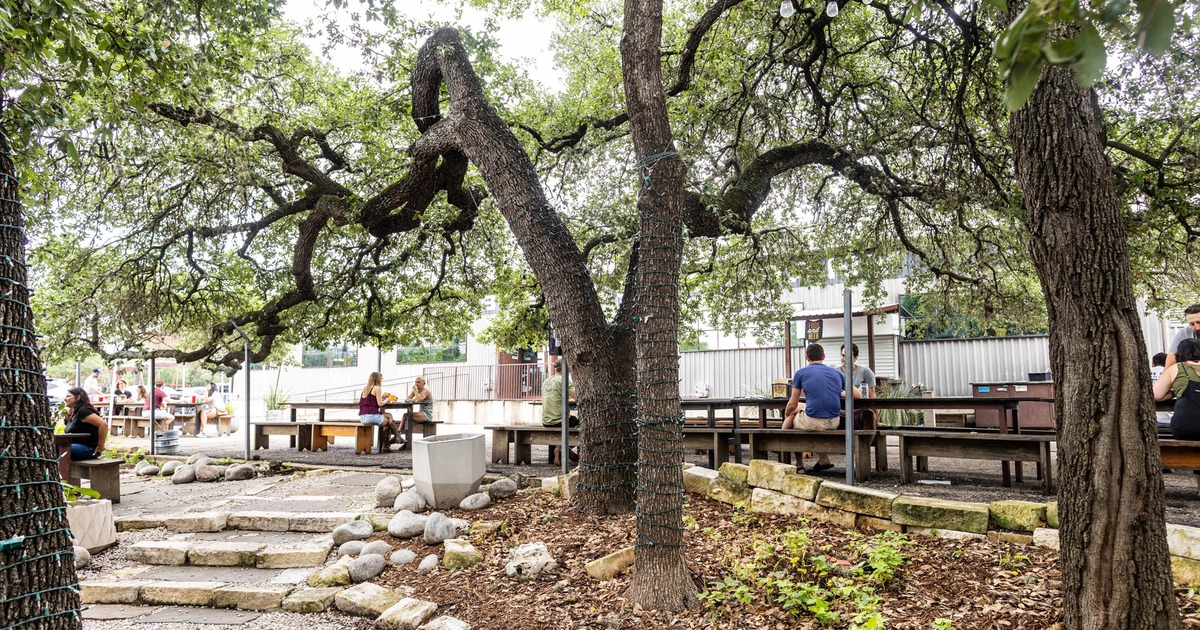 Outdoor seating area with picnic tables under large trees