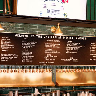 gallery photo number 41