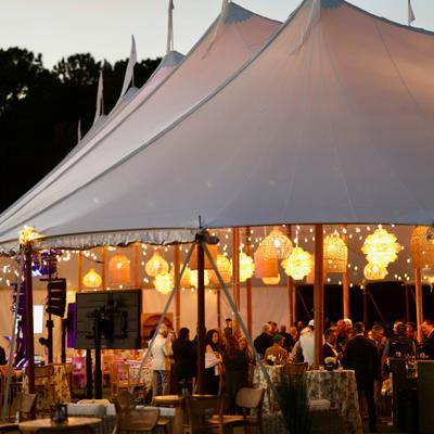 gallery photo number 132