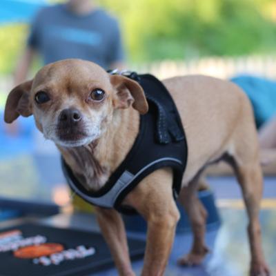 gallery photo number 1