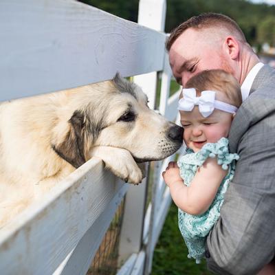 gallery photo number 7