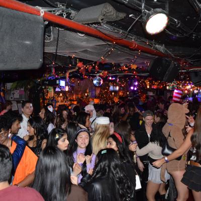 gallery photo number 350