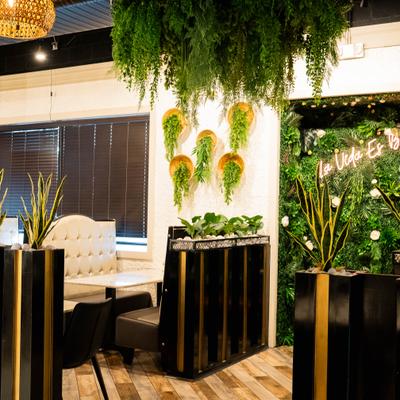 Interior with seating area and potted greenery.
