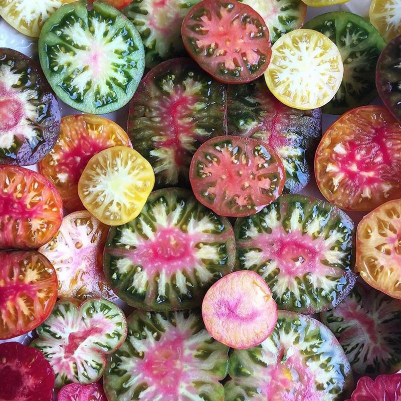 Caprese Insalata (GF) photo