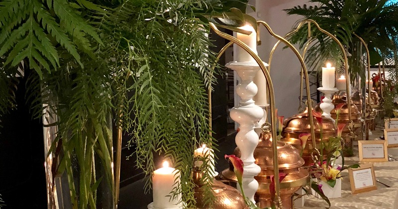 The exterior garden and patio