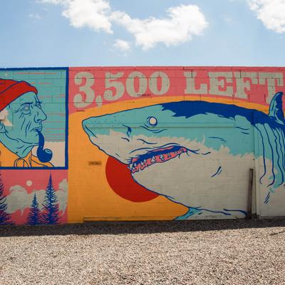 gallery photo number 6