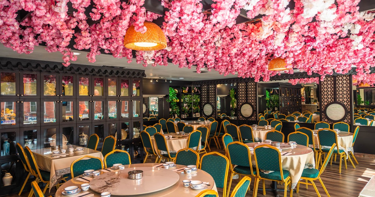 Interior, dining area, tables with chairs, lavish artificial cherry blossom flower decoration