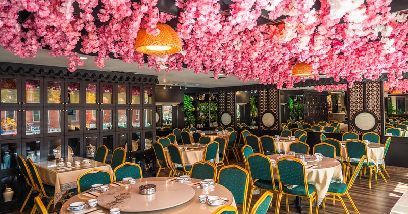 Interior, dining area, tables with chairs, lavish artificial cherry blossom flower decoration