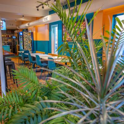 Interior, plants, tables.