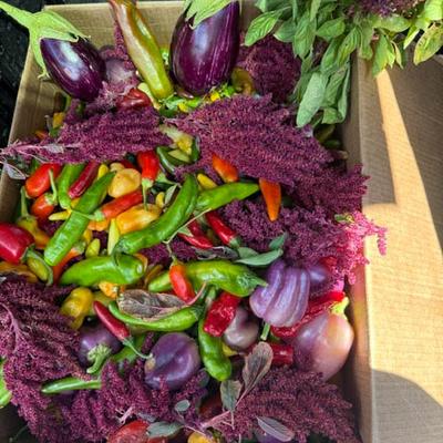 gallery photo number 2