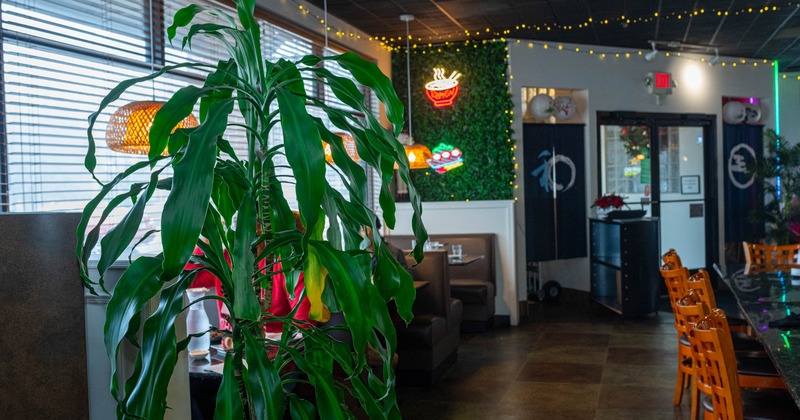 Interior, seating area, potted plant