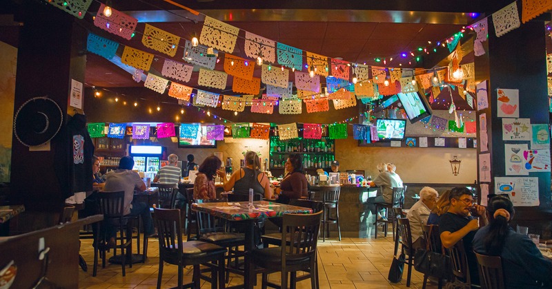 Interior space, bar and dining area with guests chatting and enjoying their food and drinks