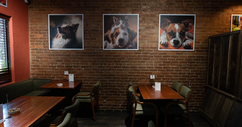 Interior, seating area, dogs pictures on the wall