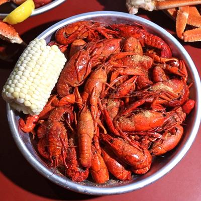 gallery photo number 142