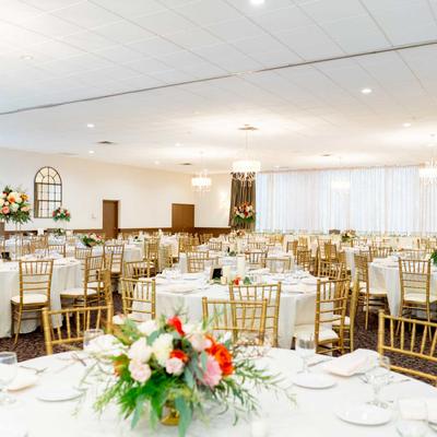 Interior, cat room with a tables ready for celebration