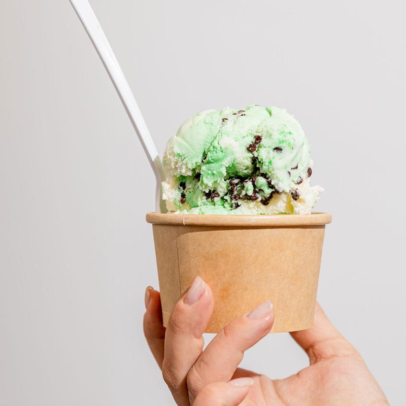 Homemade Ice Cream photo