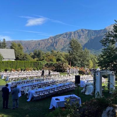 gallery photo number 231