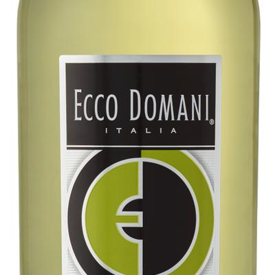 Ecco Domani Pino Grigio photo