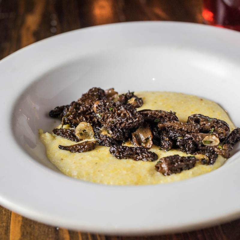 Morel Mushroom Fricassee photo