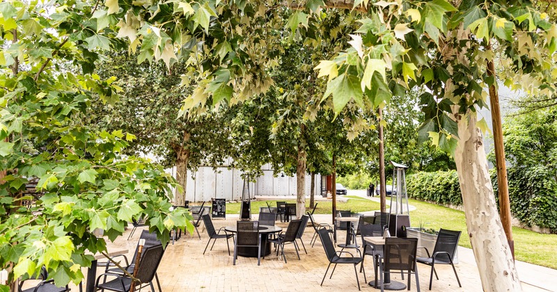 Exterior, seating area under the plane trees, tables and chairs, space heaters