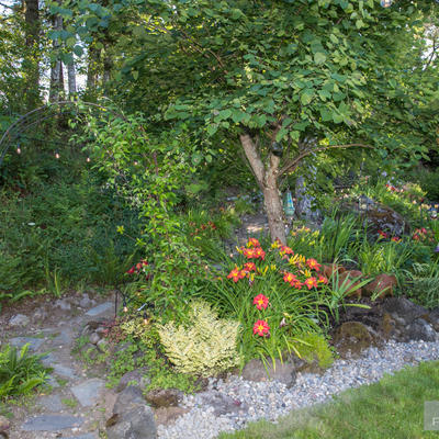 Flower garden and small path in the back