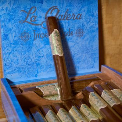 gallery photo number 14