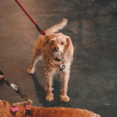 gallery photo number 10