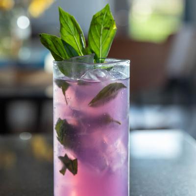 gallery photo number 20