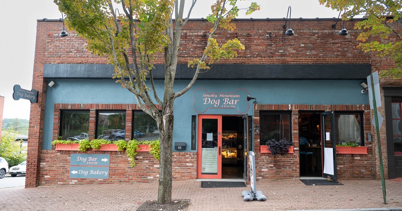 View of the restaurant