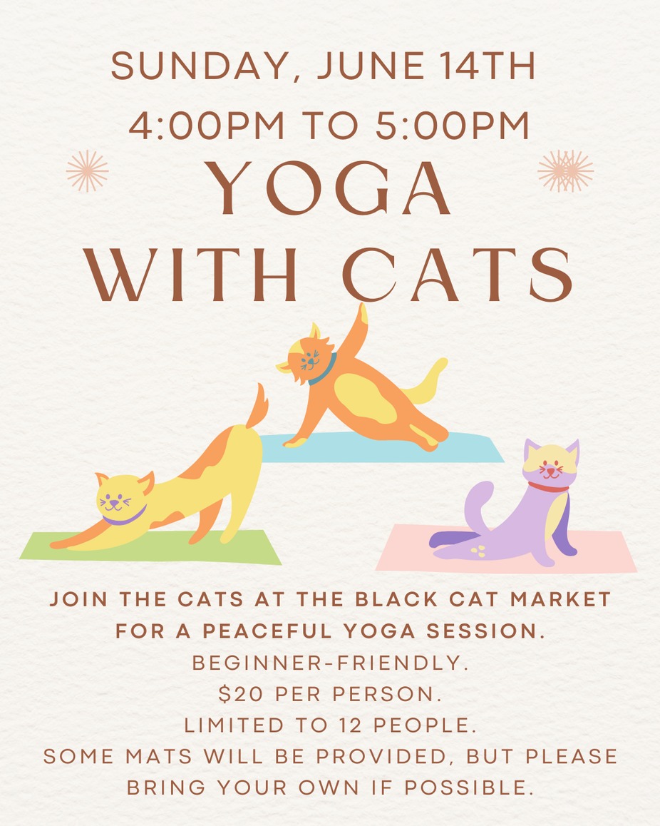 Yoga with Cats - June 14th - 4pm Class event photo