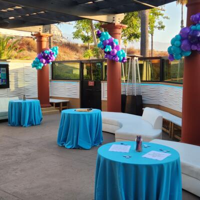 gallery photo number 13