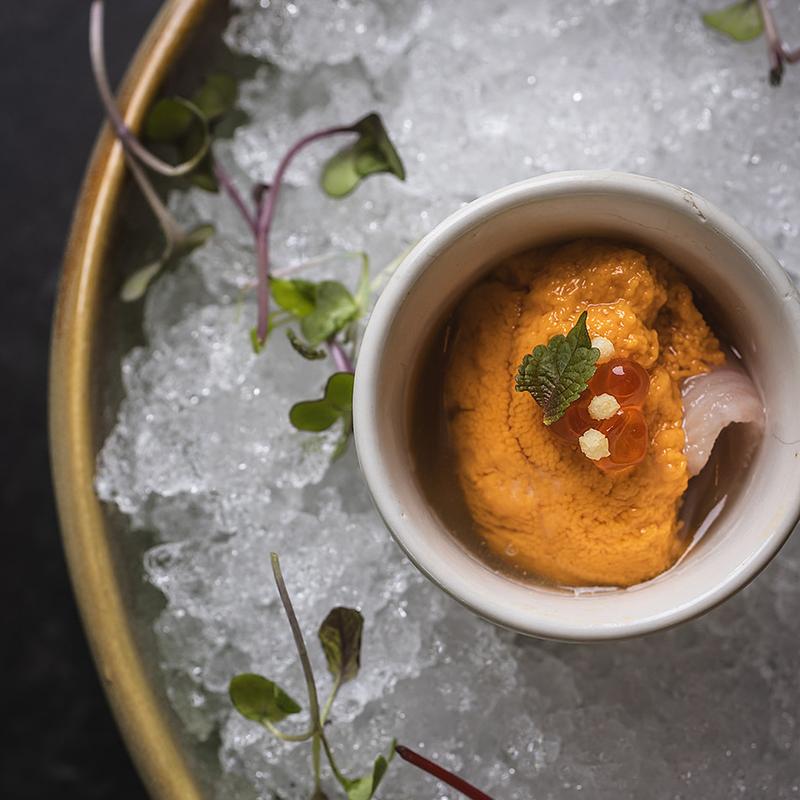 Shimogamo Shooter* photo