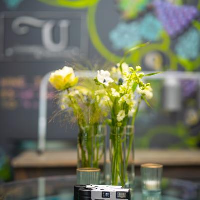 gallery photo number 31