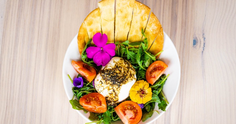 Burrata with a salad