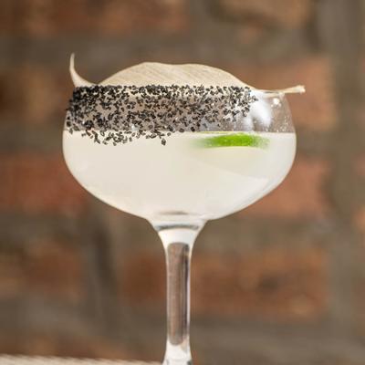 gallery photo number 14