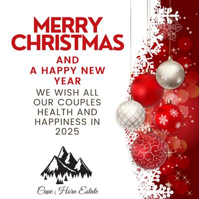 gallery photo number 342