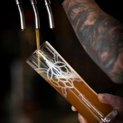 gallery photo number 10