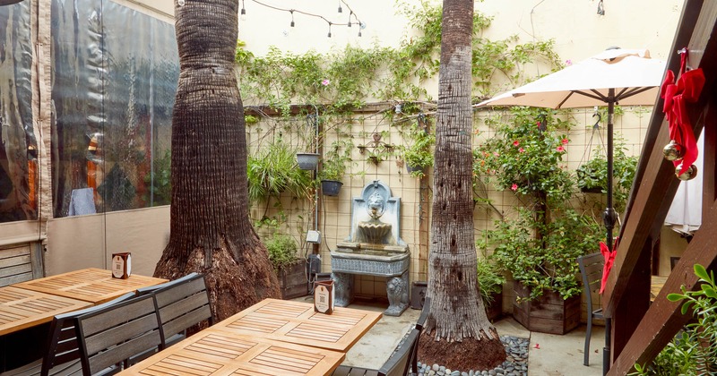 Exterior, seating area near tree