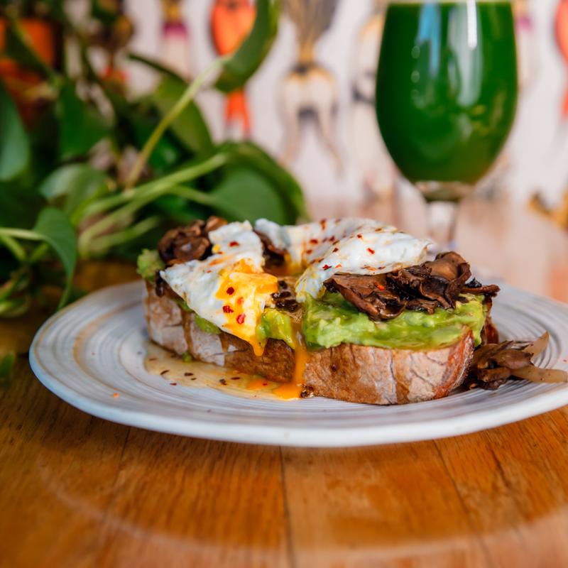 Savory Forest*** photo