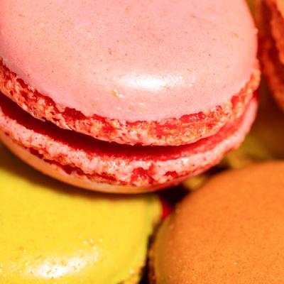 gallery photo number 151