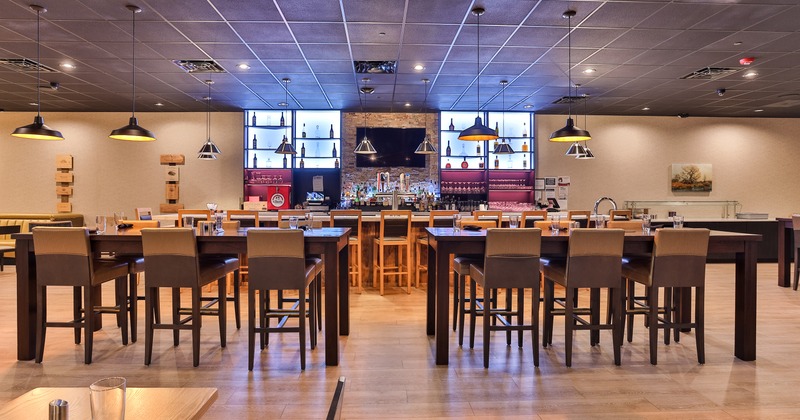 Modern style of interior design, dining area and bar area