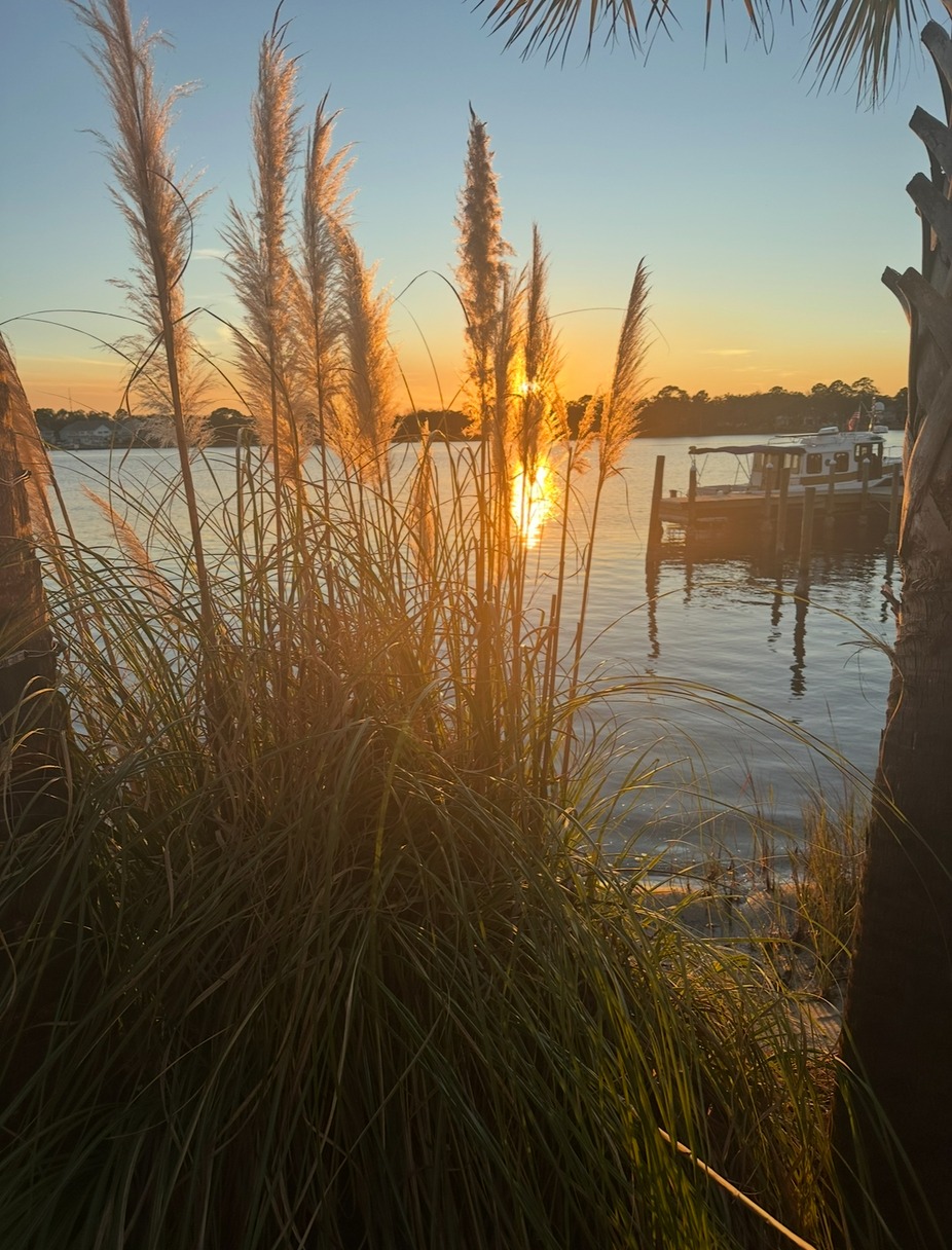 **Jason Tyler Findley  Live at AJ's on the Bayou** event photo