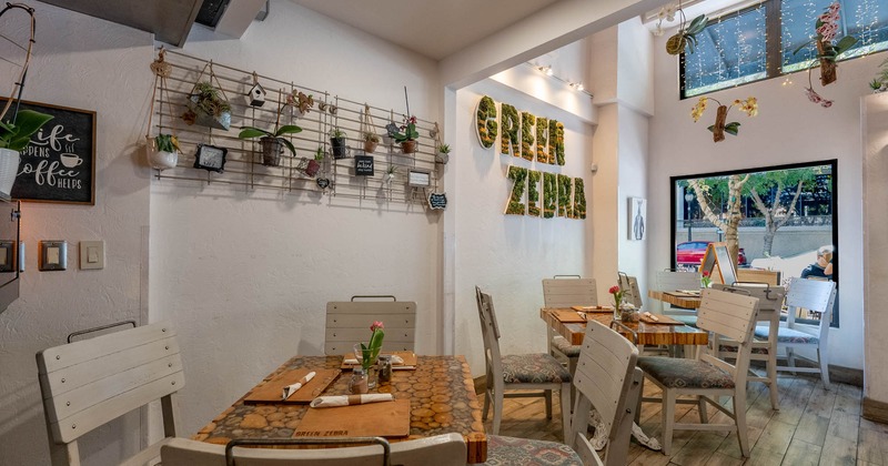 Interior seating area with chairs and tables, organic decoration
