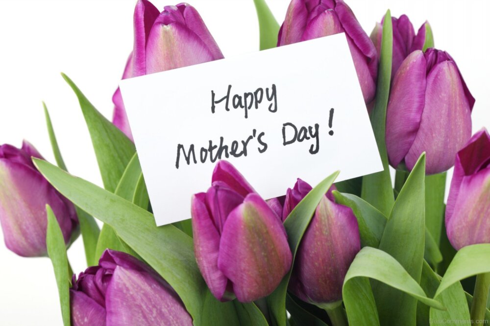 Happy Mother's Day Purple Tulips
