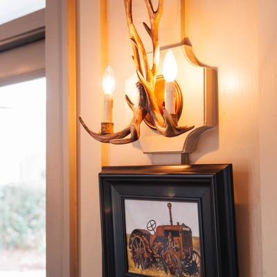 Interior, antler sconce and a picture on a wall.