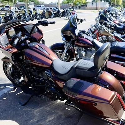 gallery photo number 20