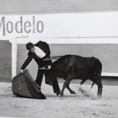 Bullfighter facing a bull in a corrida